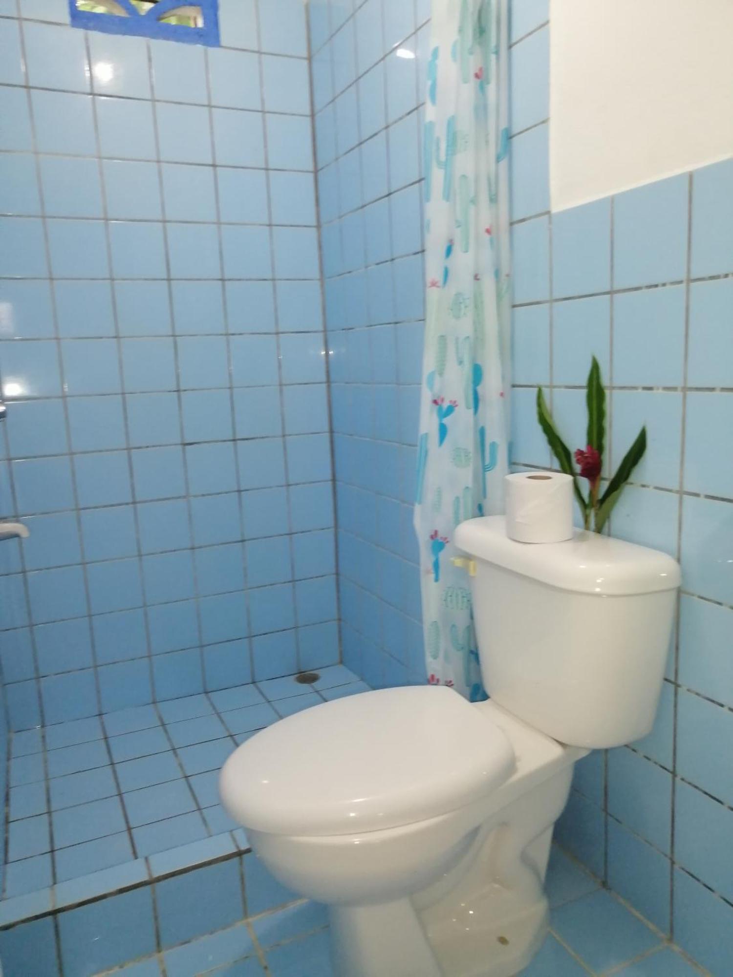 Rooms Palmeras 까위따 외부 사진